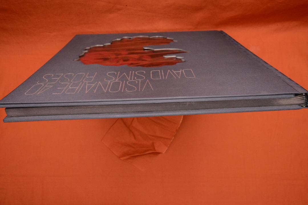 VISIONAIRE 40：DAVID SIMS ROSES　★★値下げしました