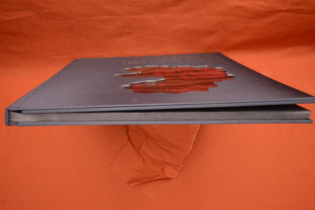 VISIONAIRE 40：DAVID SIMS ROSES　★★値下げしました