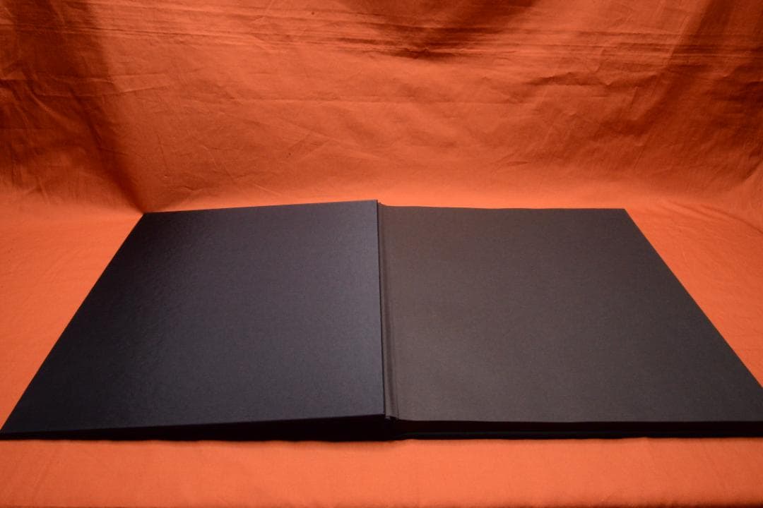 VISIONAIRE 40：DAVID SIMS ROSES　★★値下げしました