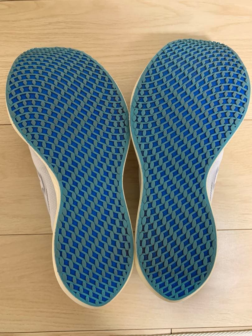 MIZUNO リベリオンプロナチュラル 28.0cm