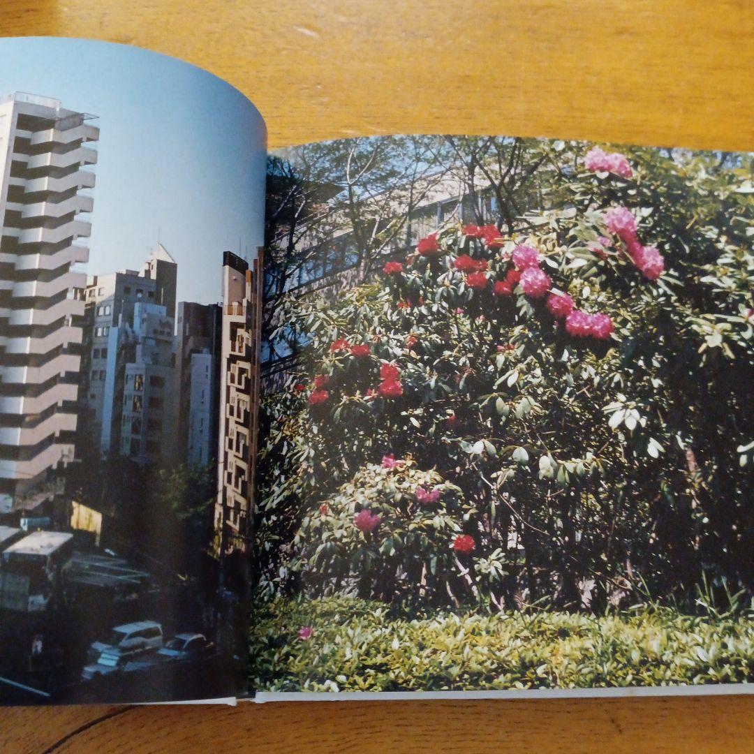 至るところで心を集めよ立っていよ 清野賀子 写真集 - メルカリ