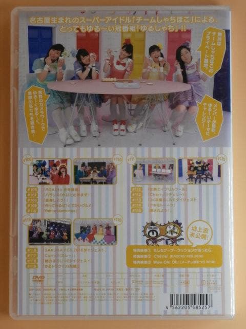 a*o様 希少セル版DVD【ゆるしゃち全巻+おまけ】チームしゃちほこ