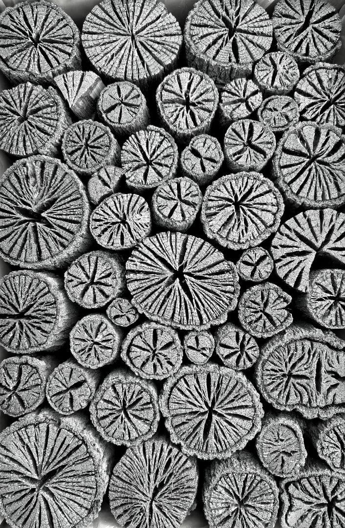 伊予の切炭 】約6kg クヌギ菊炭×2箱