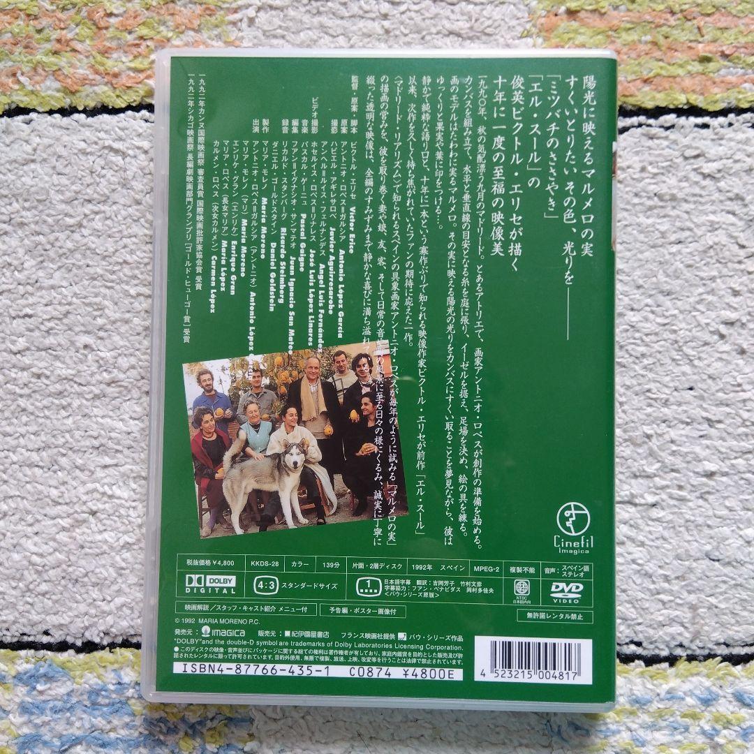 【超美品・廃盤 希少品】マルメロの陽光