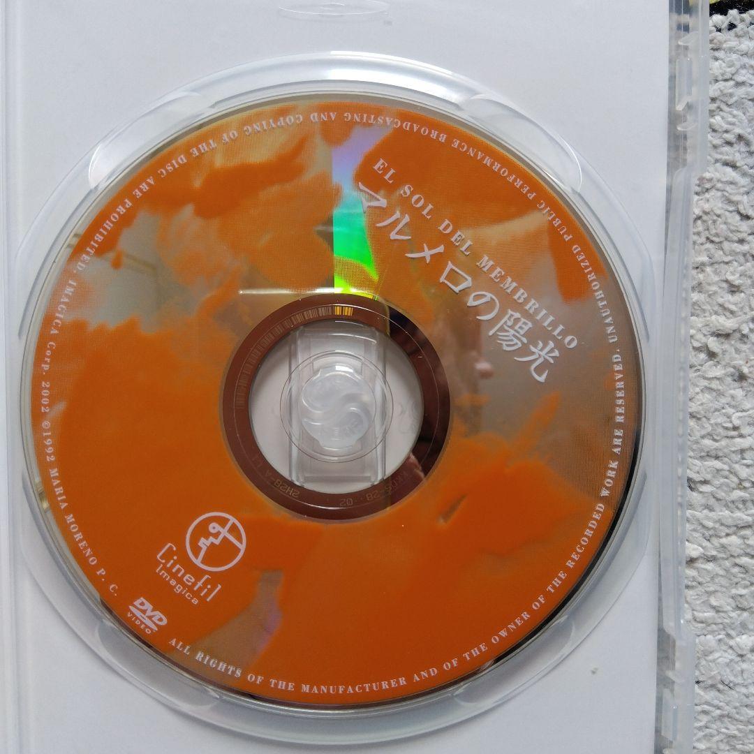 【超美品・廃盤 希少品】マルメロの陽光