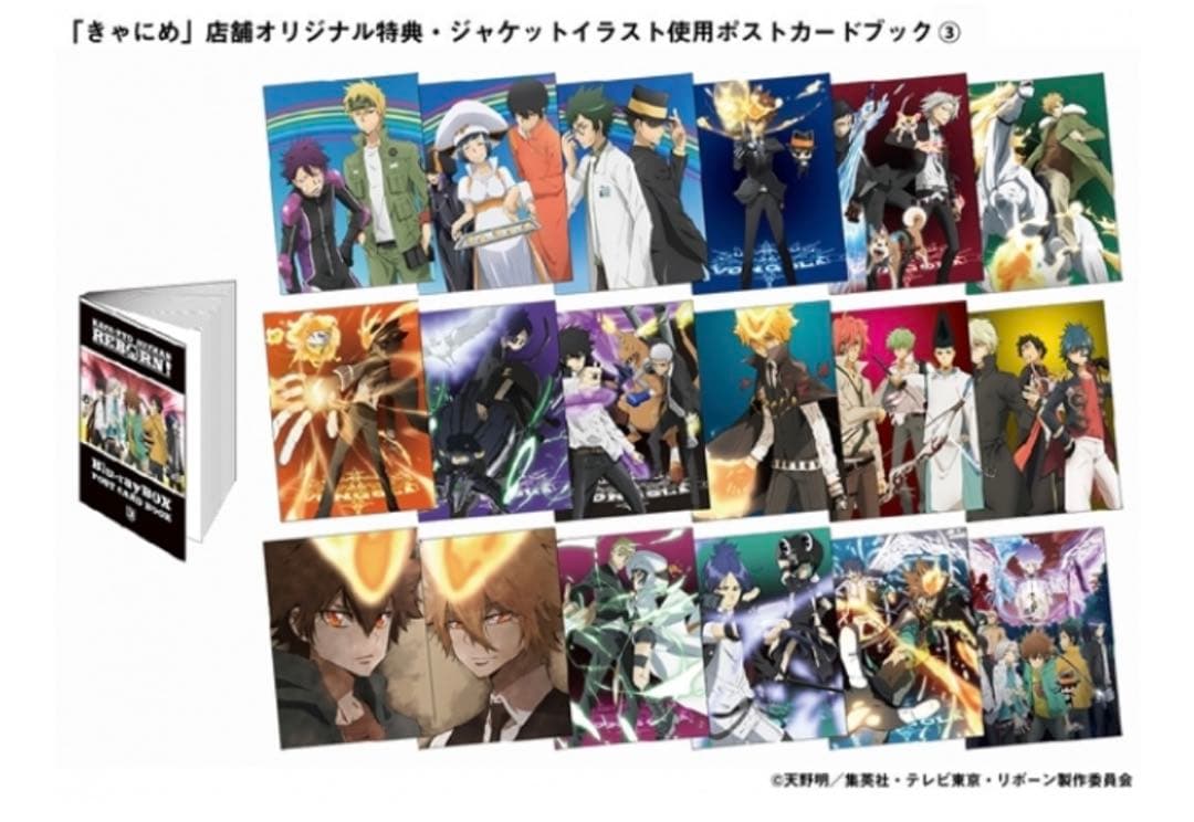家庭教師ヒットマンreborn きゃにめ ポストカード レア 希少 家庭教師ヒットマンREBORN! トレーディング箔押しポストカード| アニメ