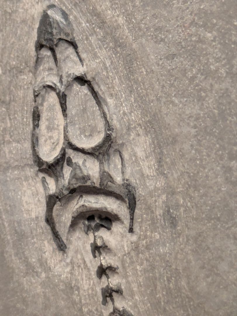 ケイチョウサウルス 化石 博物館級 地学 標本 - メルカリ