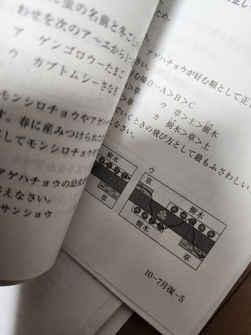 サピックス 5年生テスト 2010年分 (全10回)セット - メルカリ