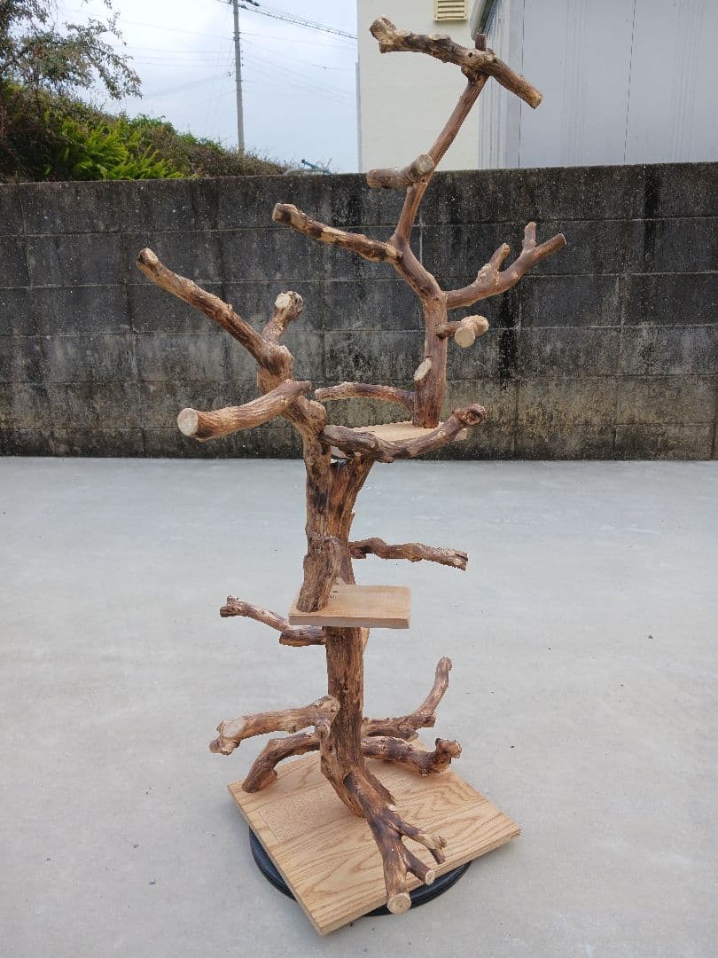 バードアスレチック バードアスレチックジム 止まり木、小鳥、流木