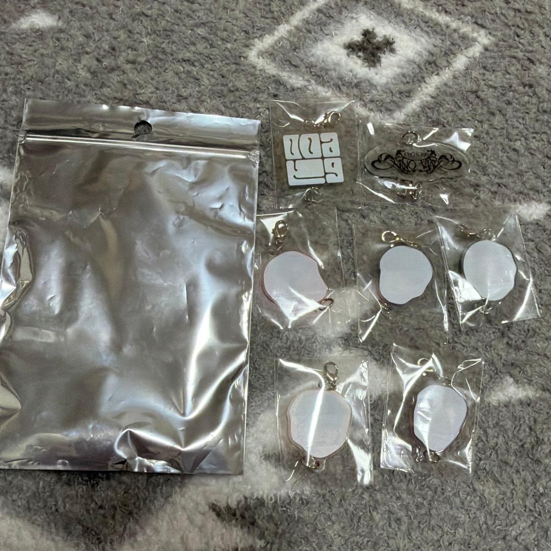 ONE N' ONLY AMAZONIA チャーム - メルカリ