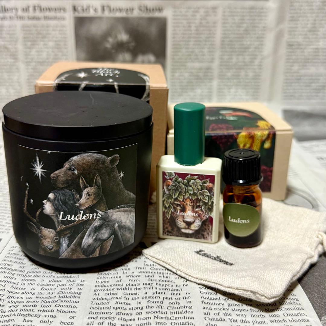 Ludens キャンドル&ミスト キャンドル | GINORI 1735