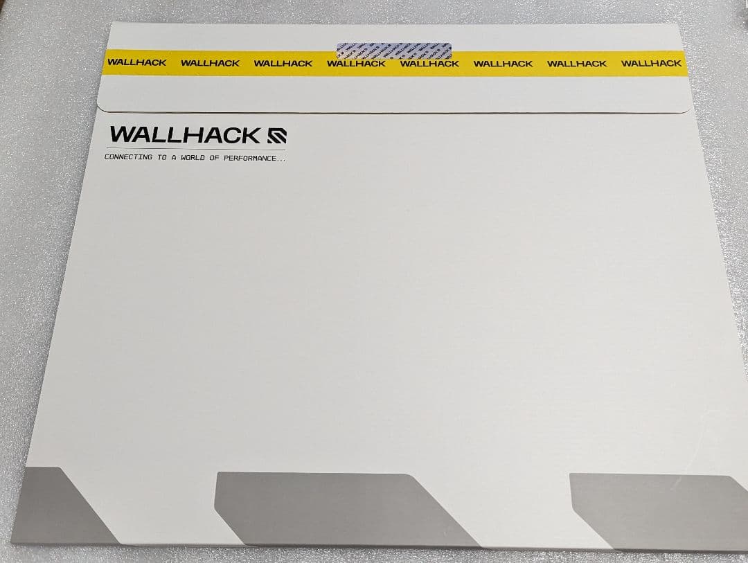 wallhack ミステリーボックス SY-001 Frenzy Sora - メルカリ