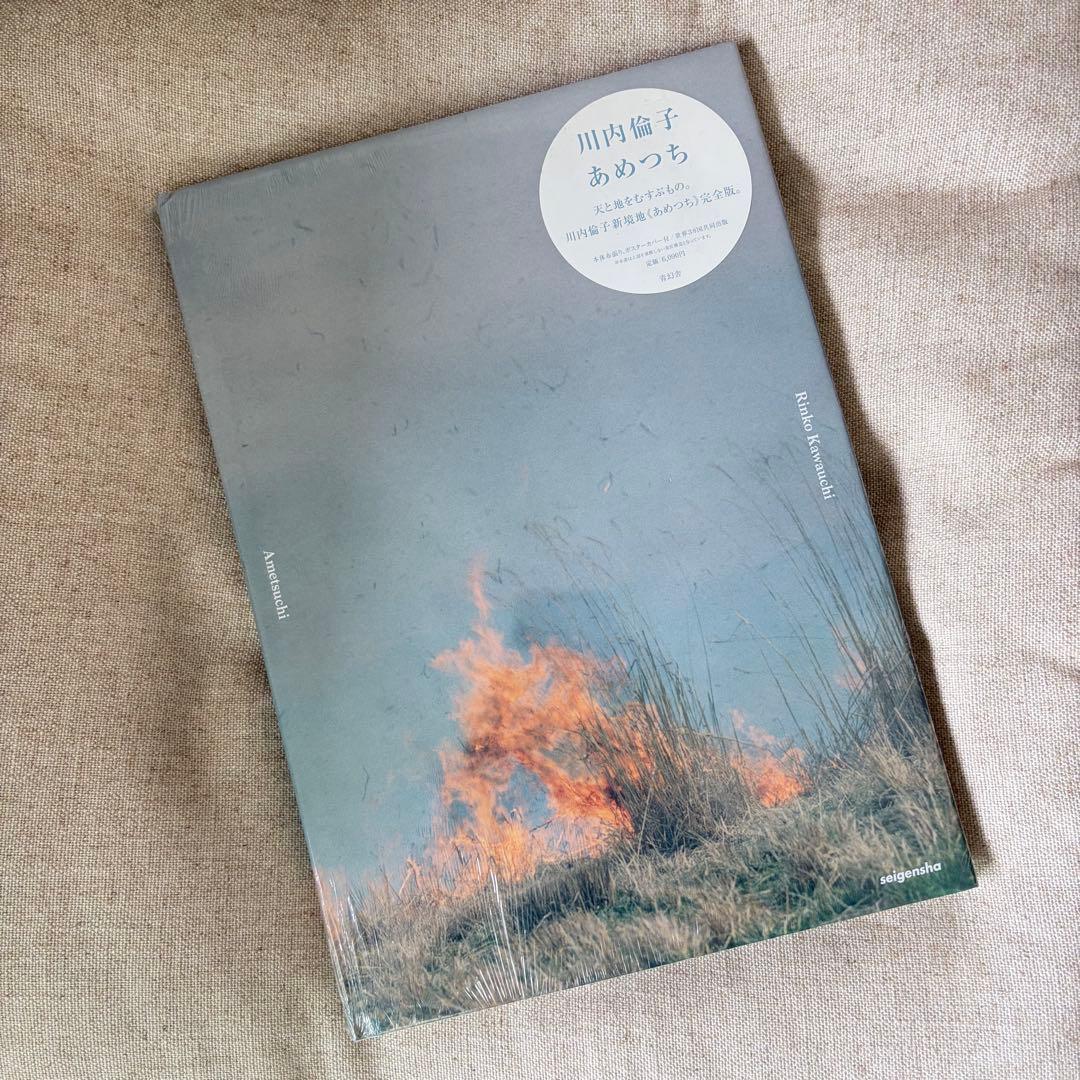 川内倫子　あめつち Rinko Kawauchi – 川内倫子 | あめつち