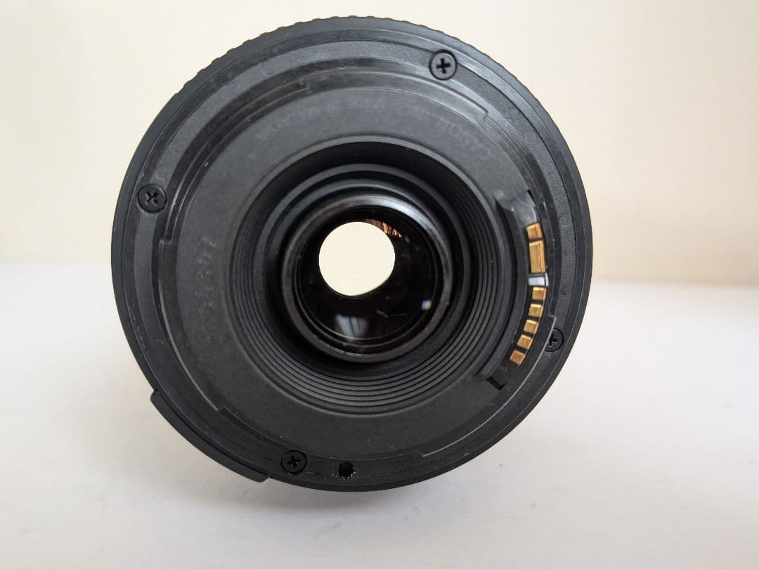 【爆速AF】Canon EF 90-300mm F4.5-5.6 USM 超望遠