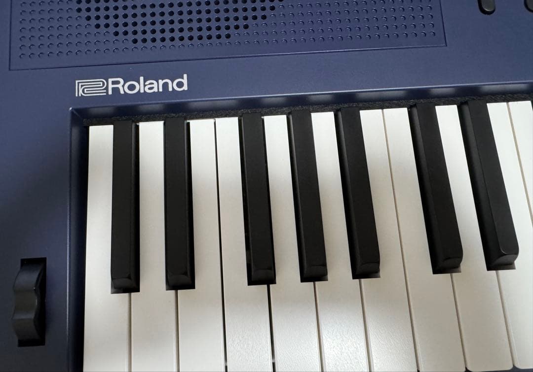 せ*ん様 Roland GO:KEYS 3 -MUミッドナイトブルー 別売専用付