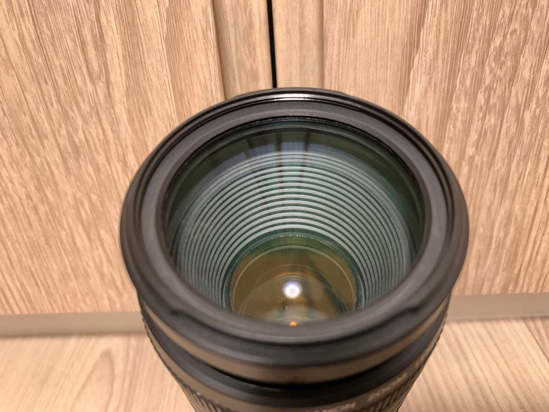 美品 Canon EF 90-300mm F4.5-5.6 USM 望遠レンズ