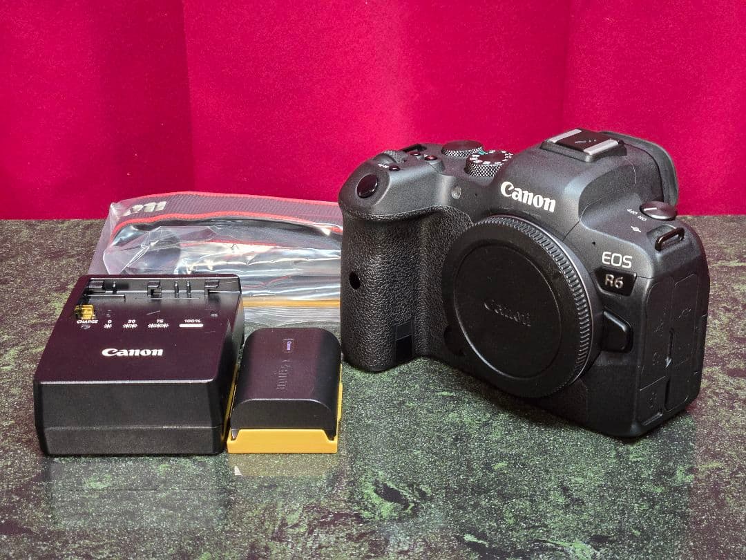 15649 動作未確認 Contax G1 コンタックス フィルムカメラ ボディ