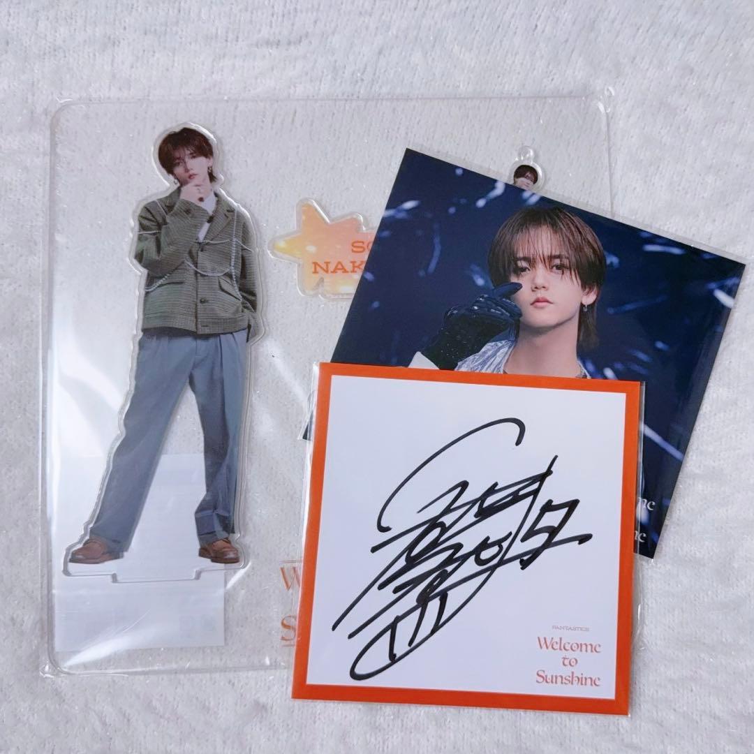 しー ZX Torsion - EE4846 - light brown/off white/raw white