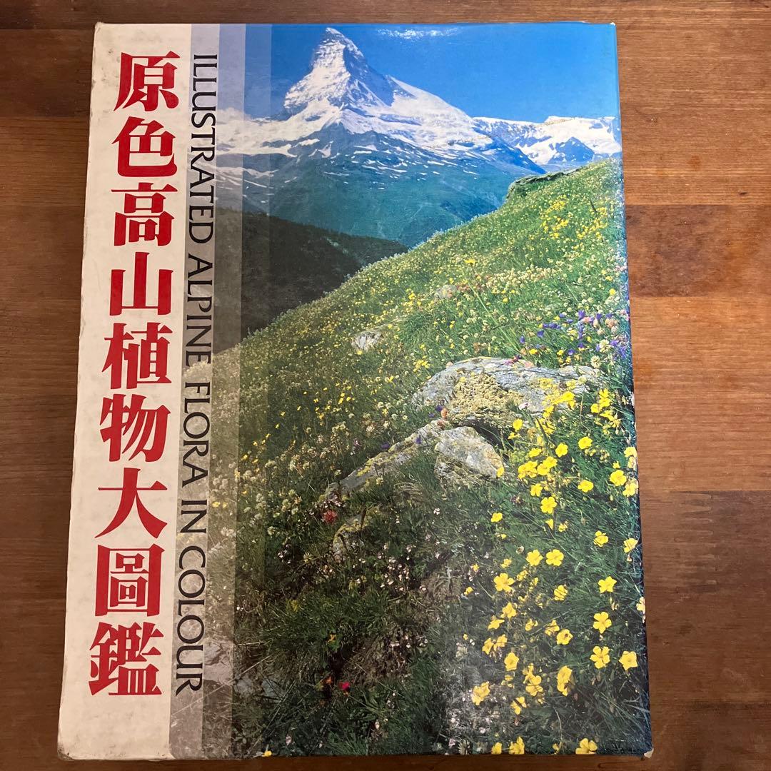 原色高山植物大図鑑 - メルカリ