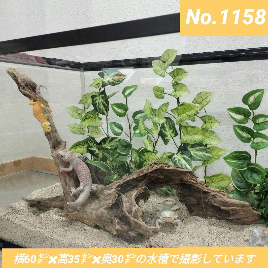 No.1158】流木 爬虫類レイアウト✫インテリア✫エアープランツ - メルカリ
