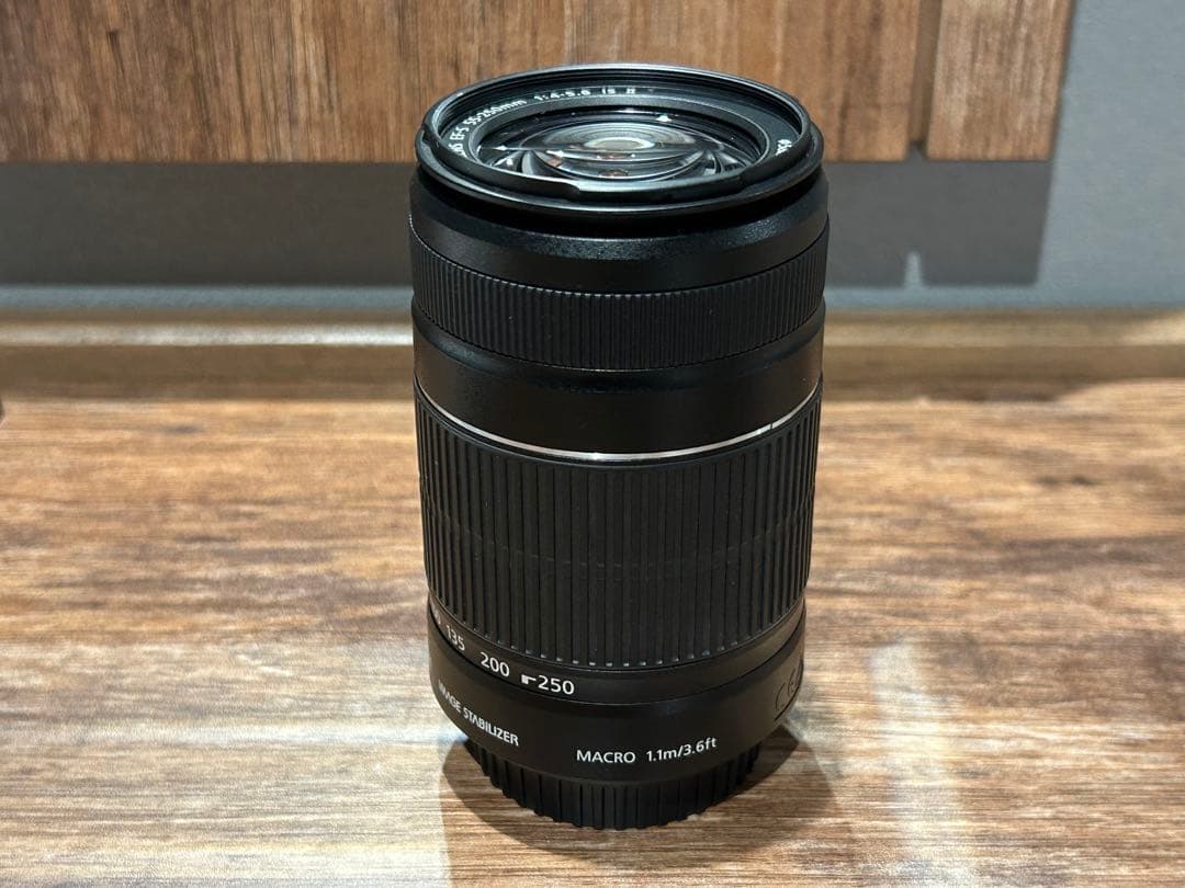 レンズ(ズーム) Canon EF-S 55-250mm f4.0-5.6 IS II 019