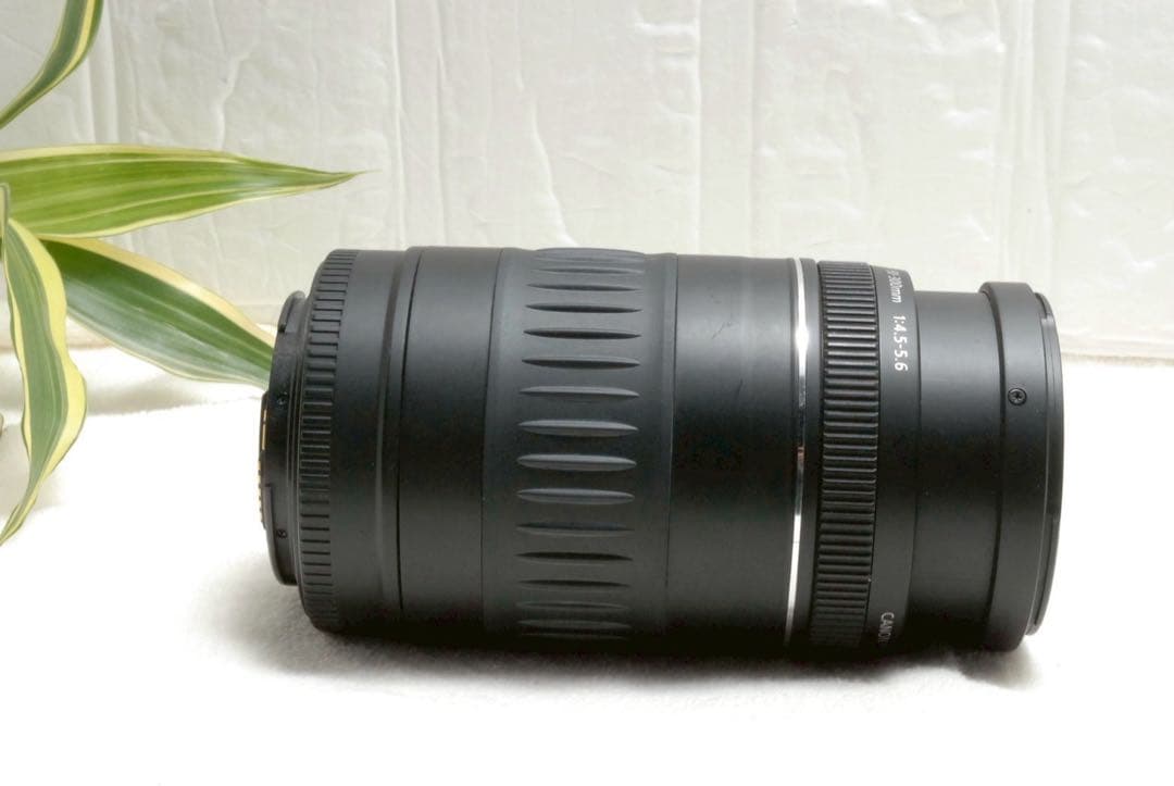 ⭐️キャノン Canon EF 90-300mm F/4.5-5.6 望遠レンズ