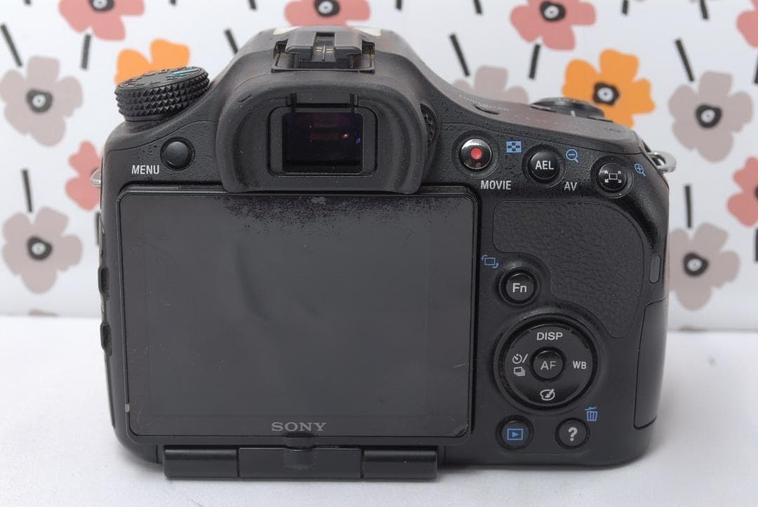 ❤SONY α65❤1秒10コマの高速連射❤トリプルレンズ❤超望遠❤超高画質