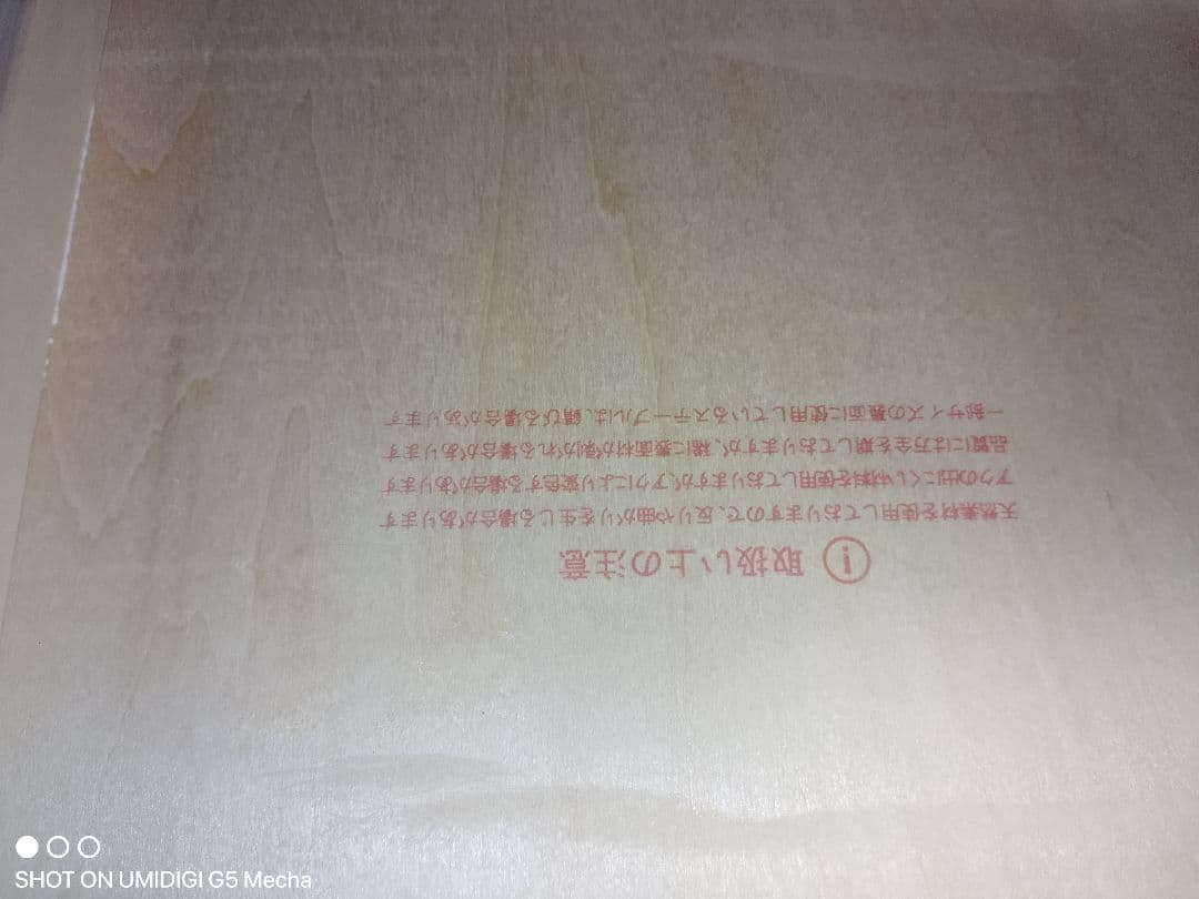 清家正悟　せいけしょうご　ベニヤ　A4サイズ