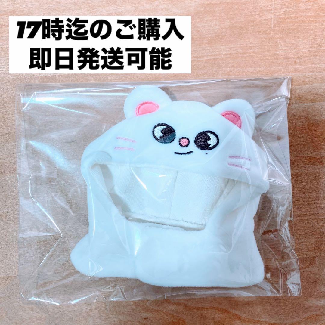 StrayKids スキズ ペンライト カバー Ver.1 ジニレット - メルカリ