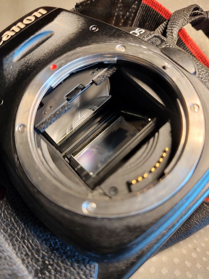 Canon 5D Mark II + Zeiss 50mm ZE 動作品