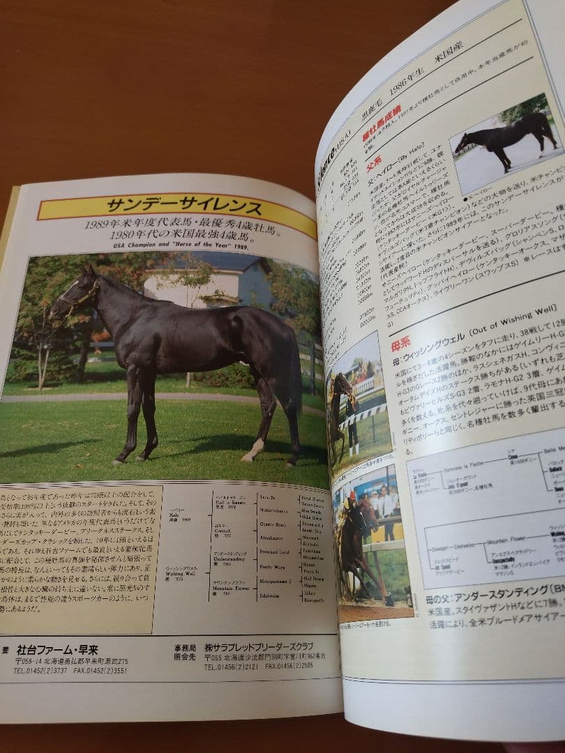 社台ファームスタリオンブック 1992 - メルカリ