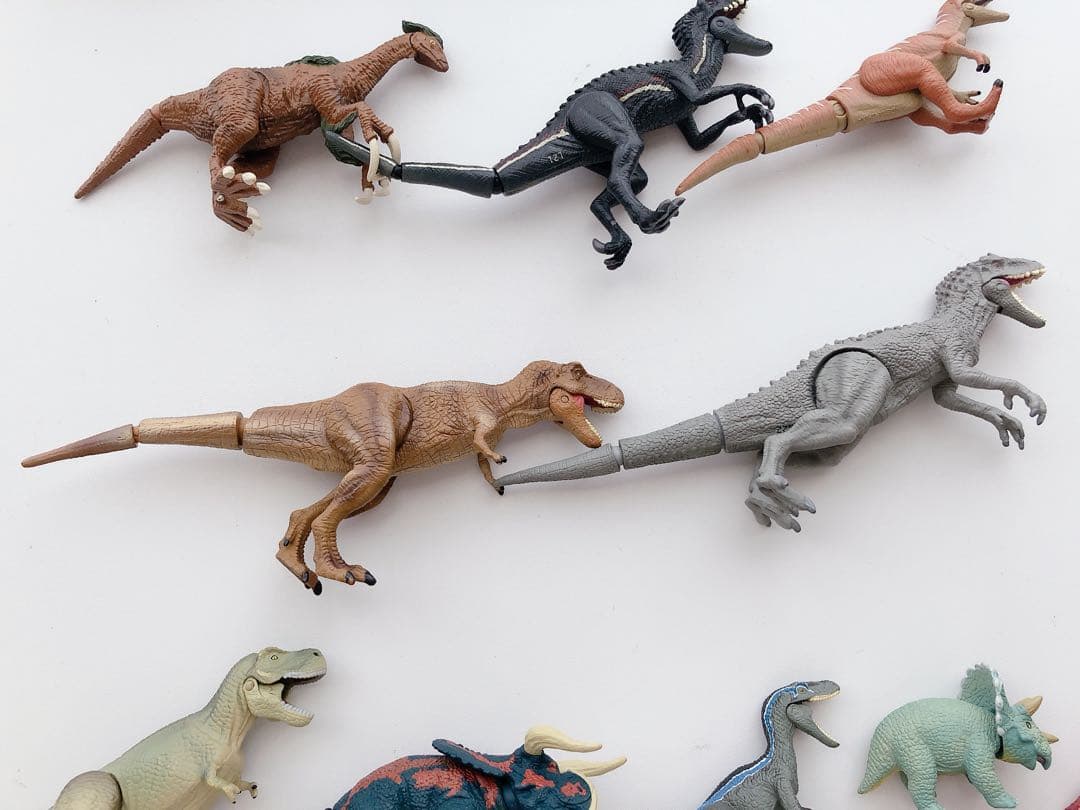 C. アニア 恐竜 バラ売り まとめ売り 動物 水族館 組合せ自由