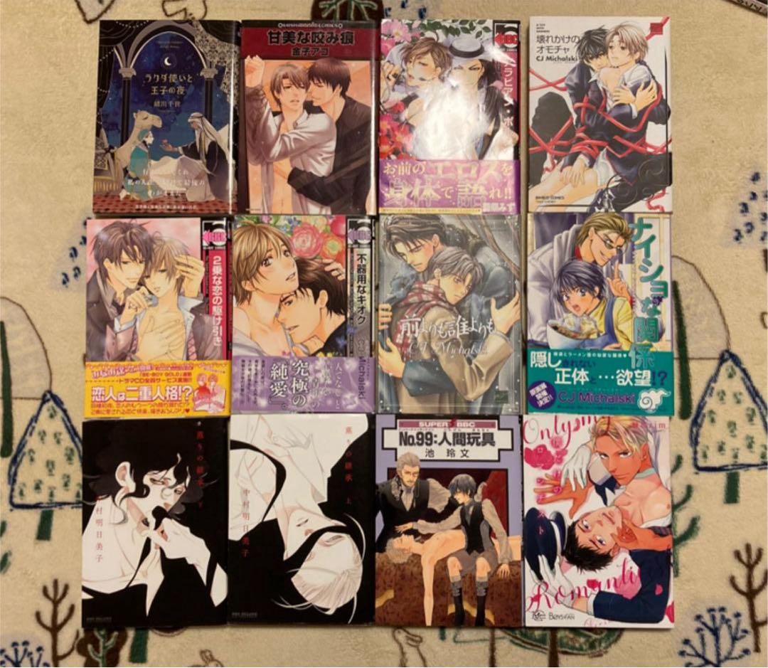 BL漫画 24冊 まとめ売り サクラサクヤ タクミユウ 竹中せい