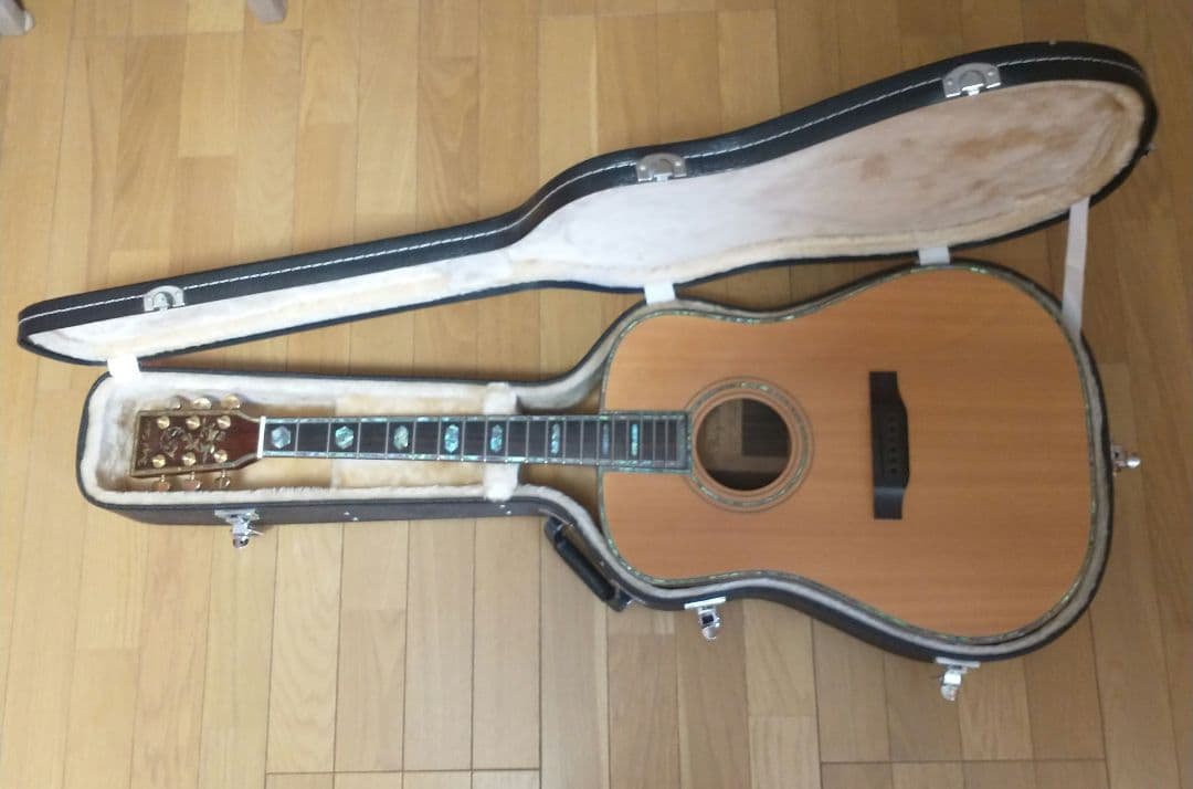 専用 幻の希少ギター バグスギア Bugs Gear DR50-UL - メルカリ