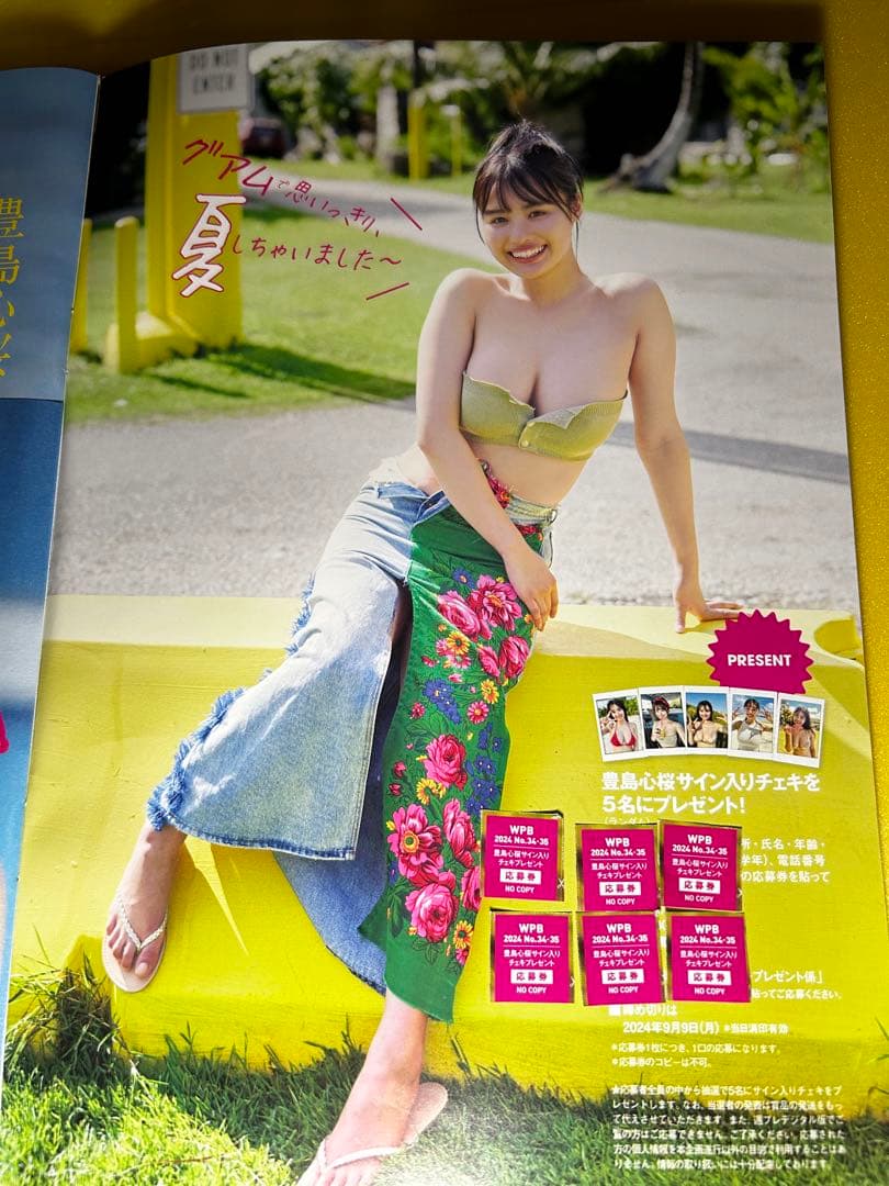 ☆豊島心桜☆ 週刊プレイボーイ 直筆サイン入りチェキ プレゼント応募