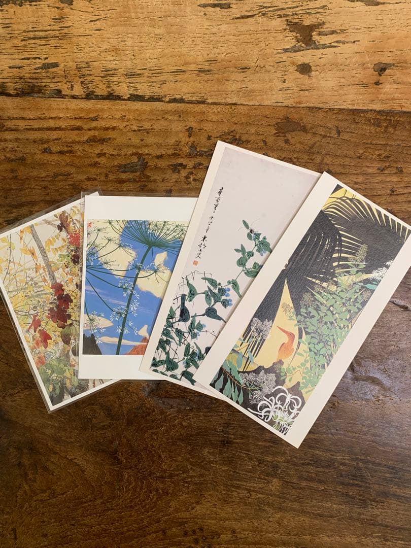 田中一村展 奄美の光 魂の絵画 公式図録とポストカード4枚とガイド