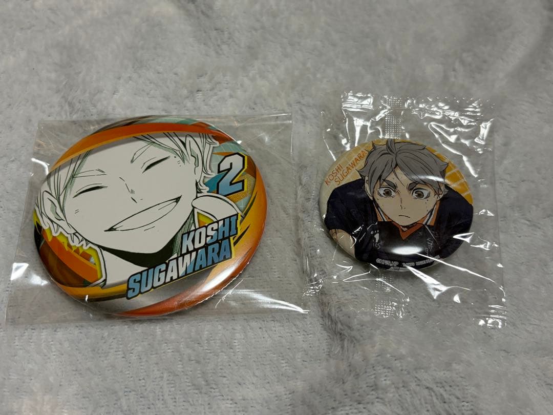 ハイキュー Fun Park 「菅原孝支」 - メルカリ