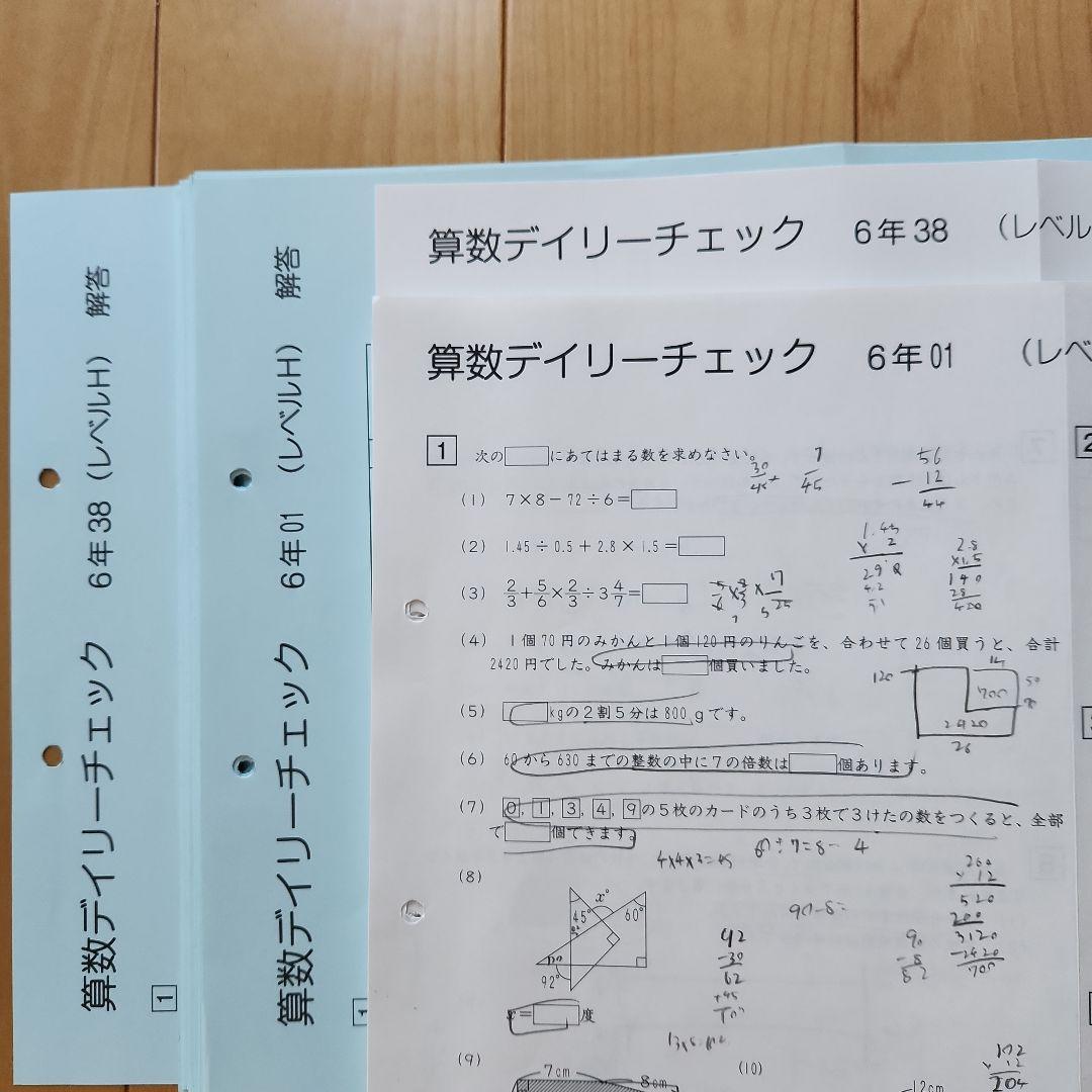 2025年度 サピックス 6年生算数・夏期算数デイリーチェック 欠番なし