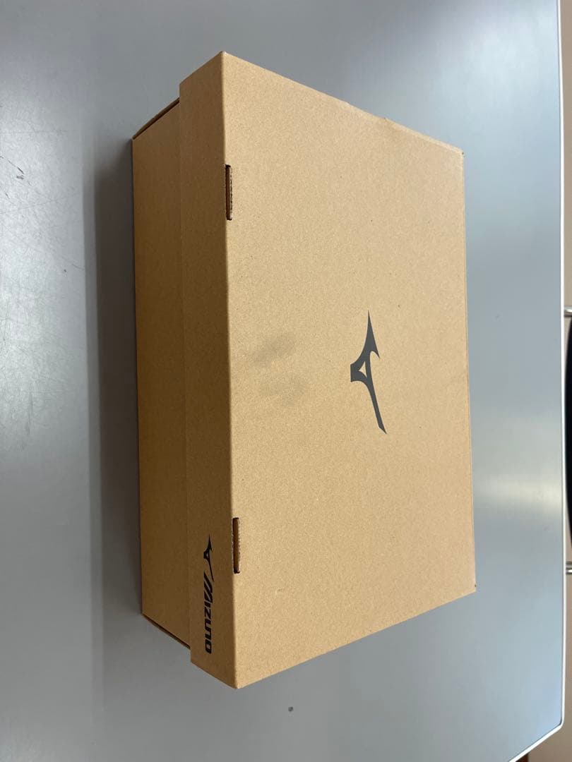 h*l様 Mizuno オールマイティHW 11L 28.0cm 安全靴