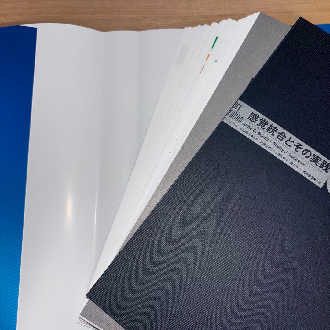 感覚統合とその実践