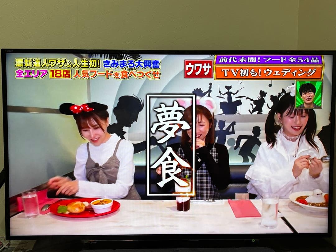 直接取引限定‼️TOSHIBA REGZA 液晶テレビ 49インチ REGZA（レグザ） 東芝 TOSHIBA 49V型 4K対応 LED液晶テレビ 別売USB