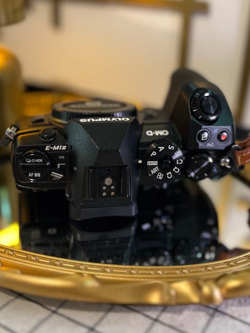 OLYMPUS OM-D E-M1 Mark II ボディ 美品 5578回