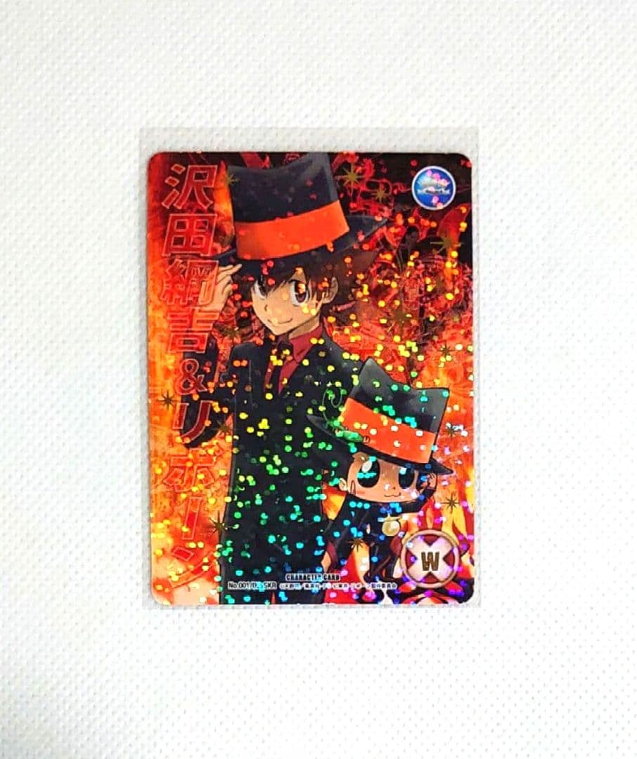 家庭教師ヒットマンREBORN！CCG SKR 死ぬ気レア 沢田綱吉 リボーン