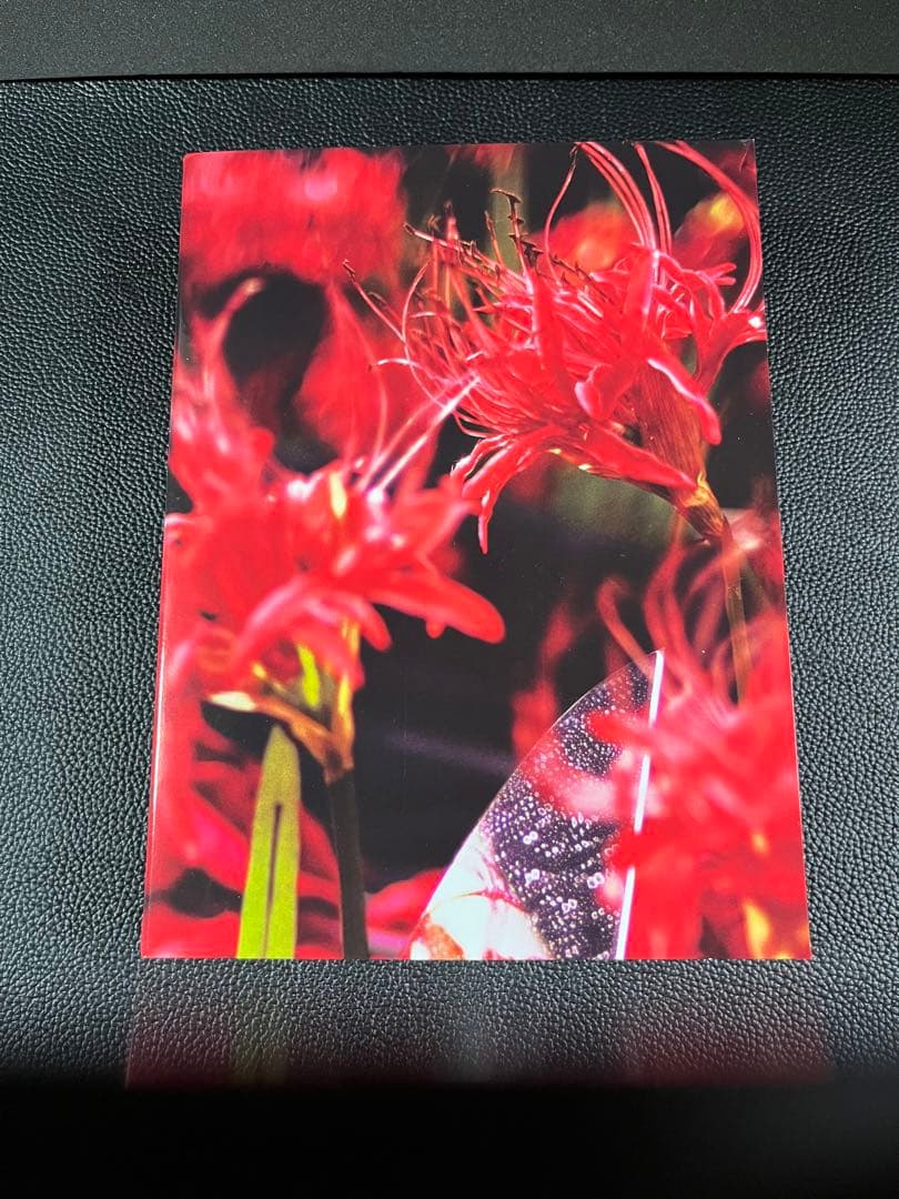 美しい隣人 DVD-BOX〈6枚組〉