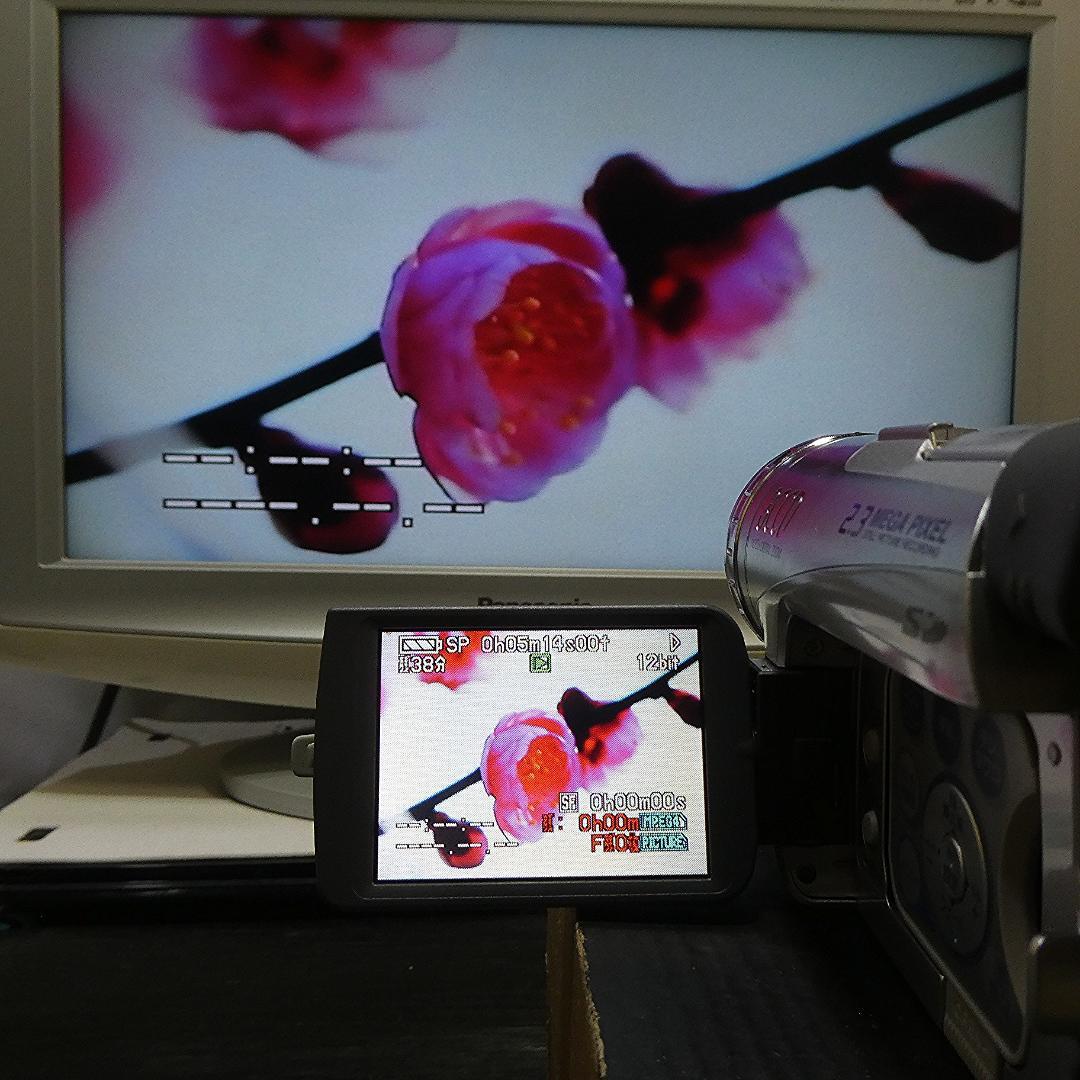 美品・動作良好 パナソニックNV-GS200 MiniDVビデオ ダビングに最適