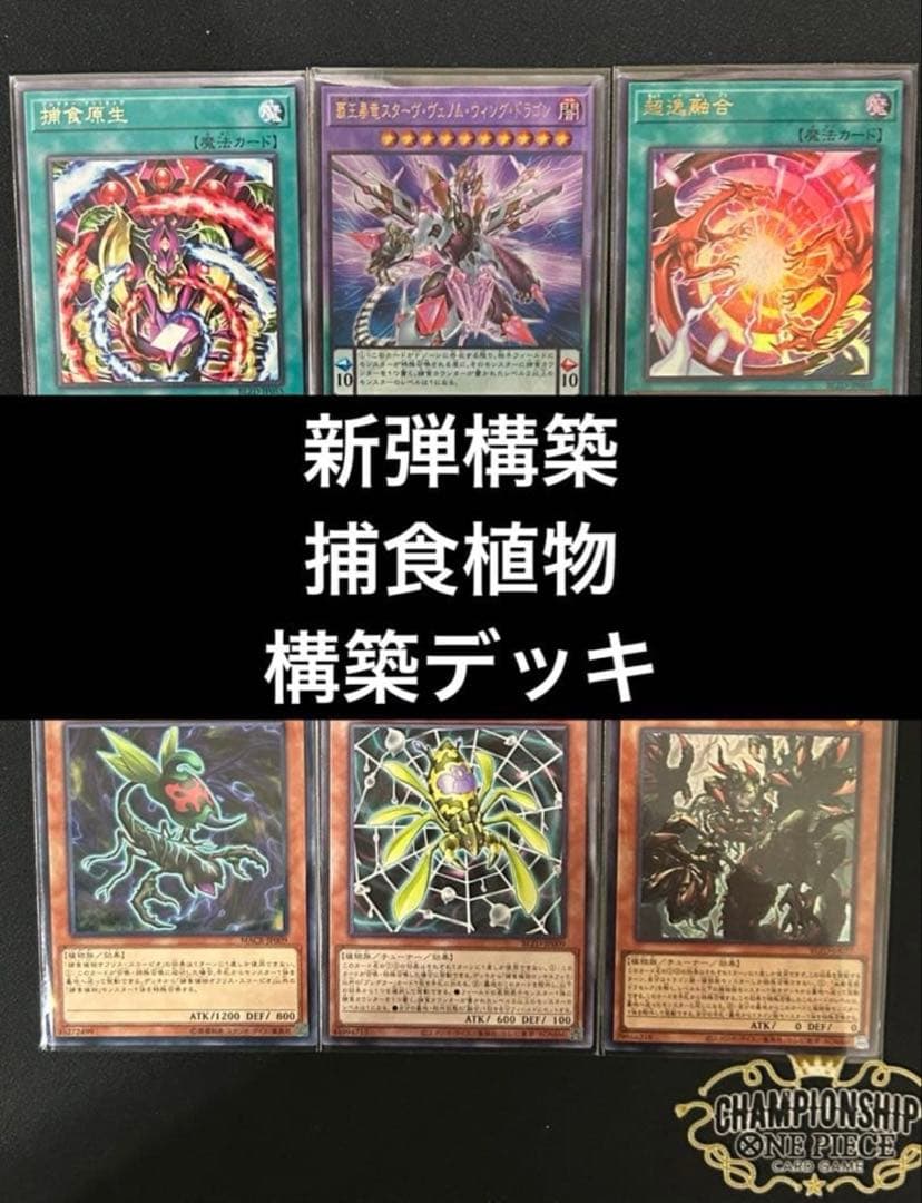 遊戯王 捕食植物デッキ プレデタープランツ 新弾構築 即購入可 超逸