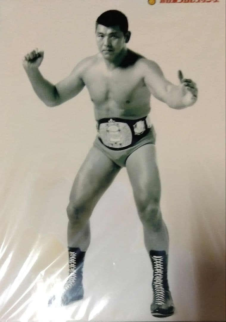 新日本プロレス アントニオ猪木 坂口征二 天龍源一郎 蝶野正洋