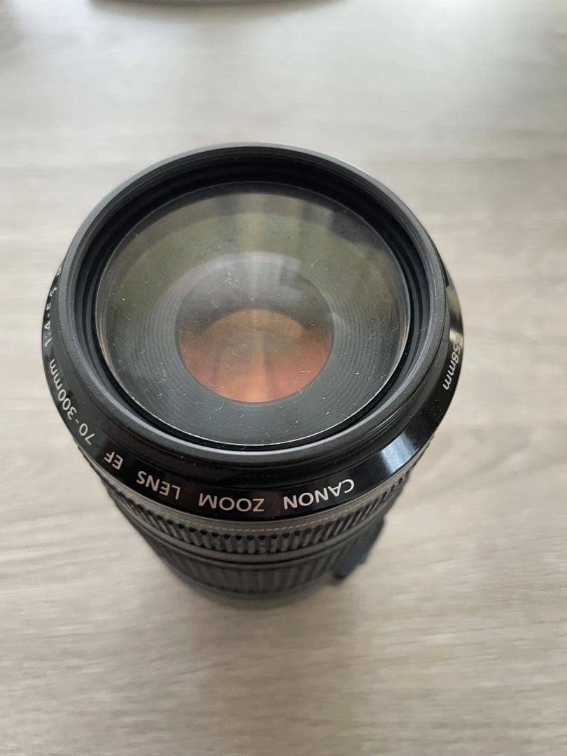 Canon EF 18-200mm f/3.5-5.6 ズームレンズ