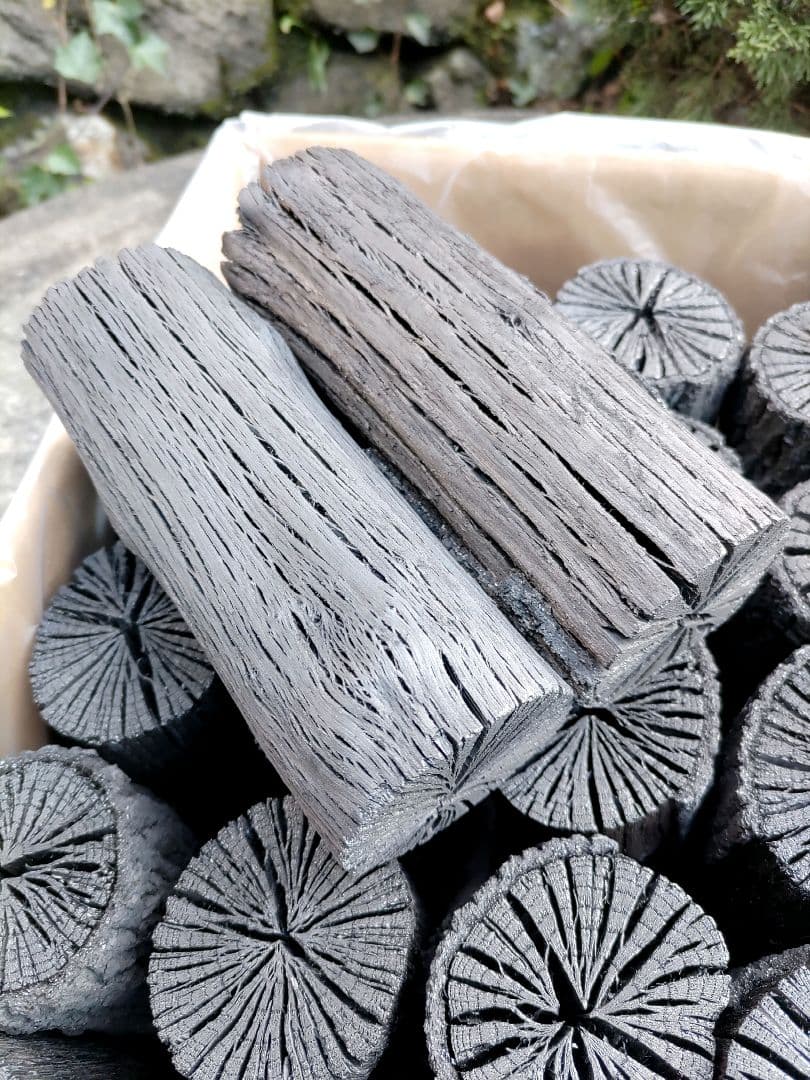 愛媛産】クヌギ炉用胴炭約5kg 皮剥がれ - 工芸品オンライン 通販