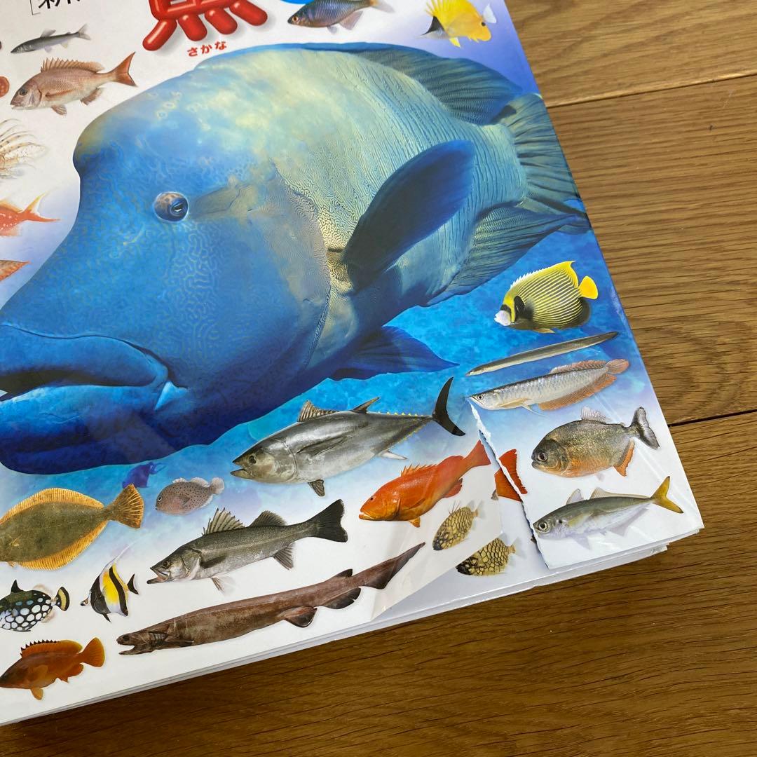 アウトレット 価格本・雑誌・漫画 - 小学館の図鑑NEO 15冊セット